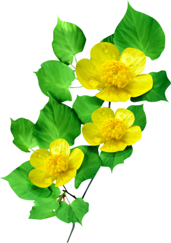 Gify,animacja,obrazki Png - Wiosna-kwiaty - Wiosenne Kwiaty Png (352x500)