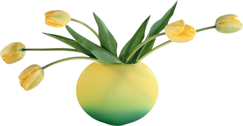 Png Wazony Kwiaty - Подснежники (500x260)