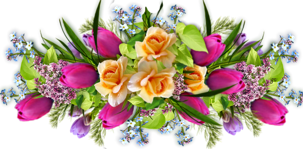 7cba6684 - Jpeg (600x295)