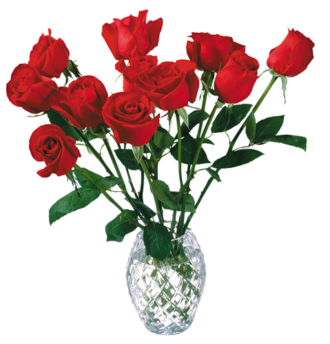 Png Wazony Kwiaty - Rose Flowers With High Resolution (479x500)