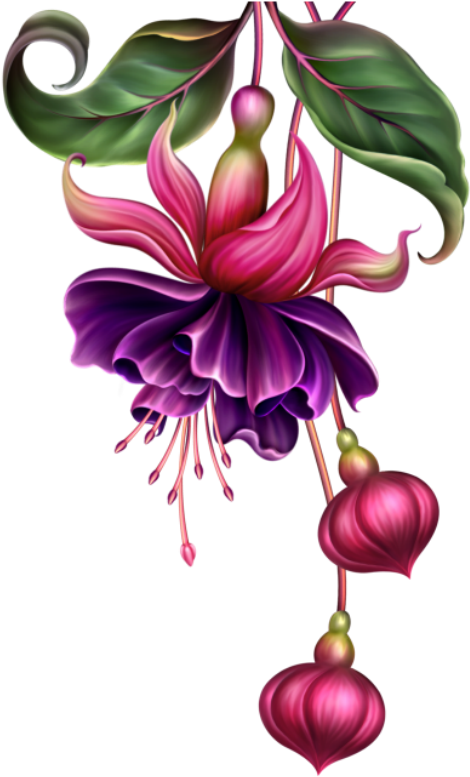 Kwiaty Png / Flowers Png - Flower (486x800)