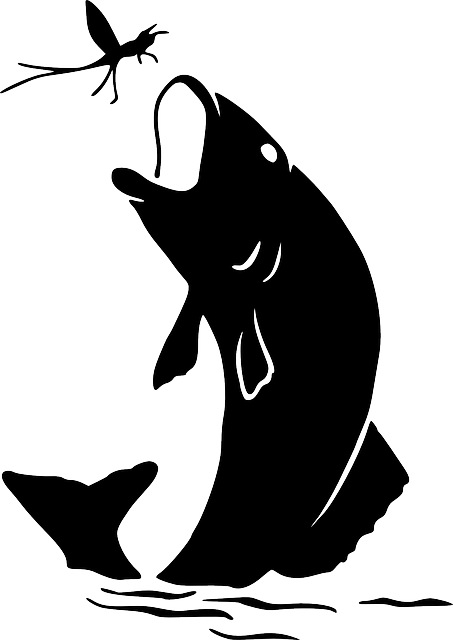 Black, Outline, Silhouette, White, Cartoon, Bass - Fly Fishing Clip Art Silhouette (453x640)
