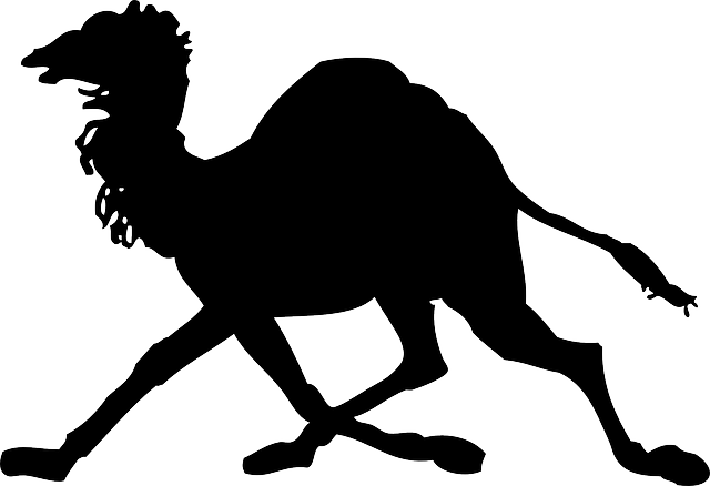 Camel, Silhouette, Dromedary, Cartoon, Horse, Running - Camel Clip Art (640x438)