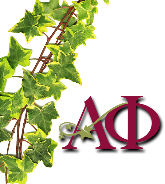 Ivy Clipart Alpha Phi - Alpha Phi #2 (537x600)