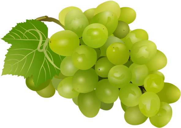 Sultana Clip Art Grape Vector Graphics Portable Network - Clip Art (640x640)