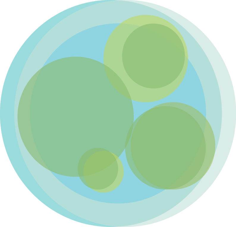 Msu Hosts 27th International Fiesta - Circle (794x765)