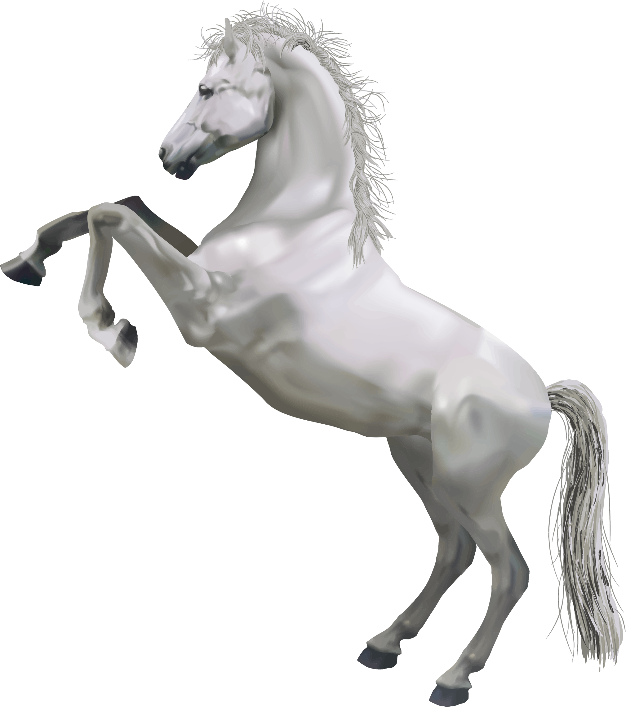 Cartoon Horse Holding Sign - Horse Standing On Hind Legs (2019x2281)