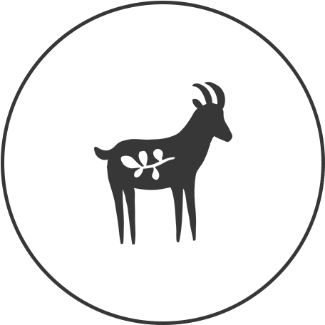 Allure - Truong Cao Dang Dien Luc Tphcm (500x500)