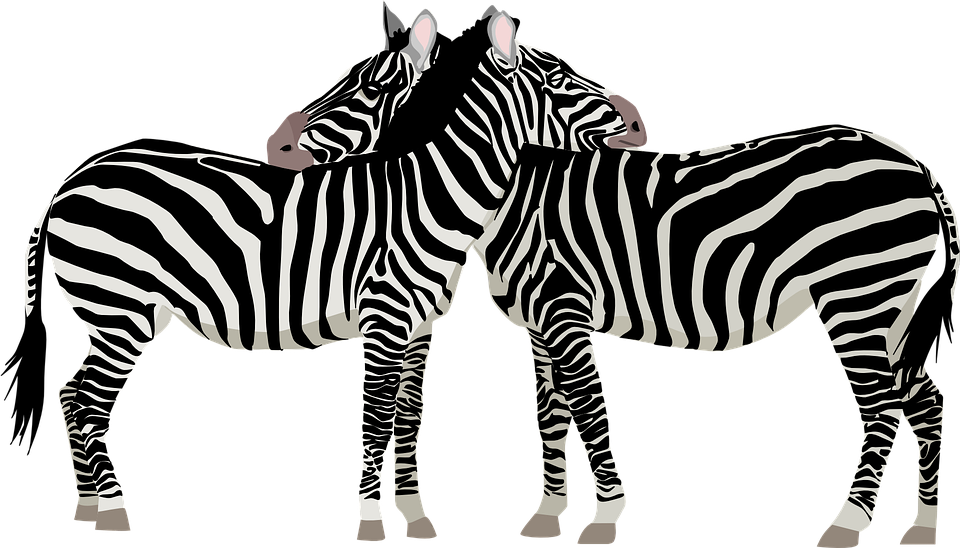 Animals Two By Two Clipart (960x548)