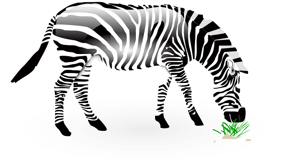 Cute Zebra Clipart 22, Buy Clip Art - ม้าลาย Png (960x698)