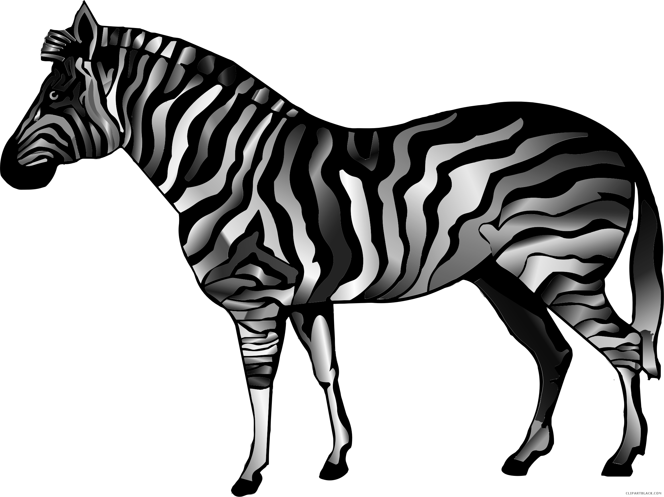 Prismatic Zebra Animal Free Black White Clipart Images - Clip Art (2318x1738)