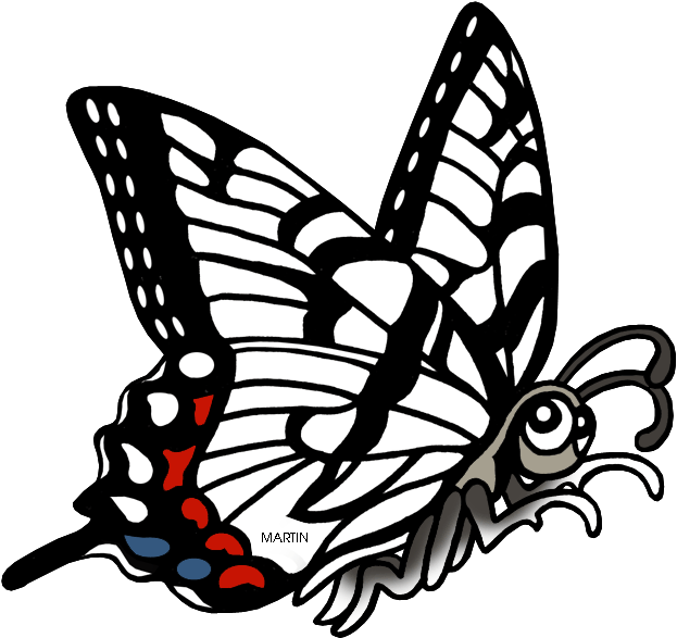 Zebra Clipart Phillip Martin - Papilio Machaon (648x614)