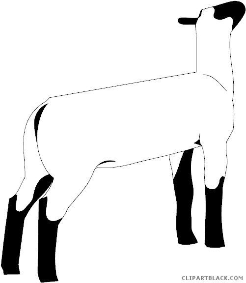 Lamb Animal Free Black White Clipart Images Clipartblack - Club Lamb Clip Art (508x585)