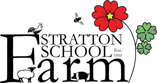 Jack Wills (554x293)