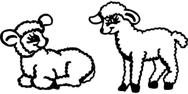 Two, Sitting, Standing, Lambs, Fluffy, Animal - Lambs Clipart (640x320)