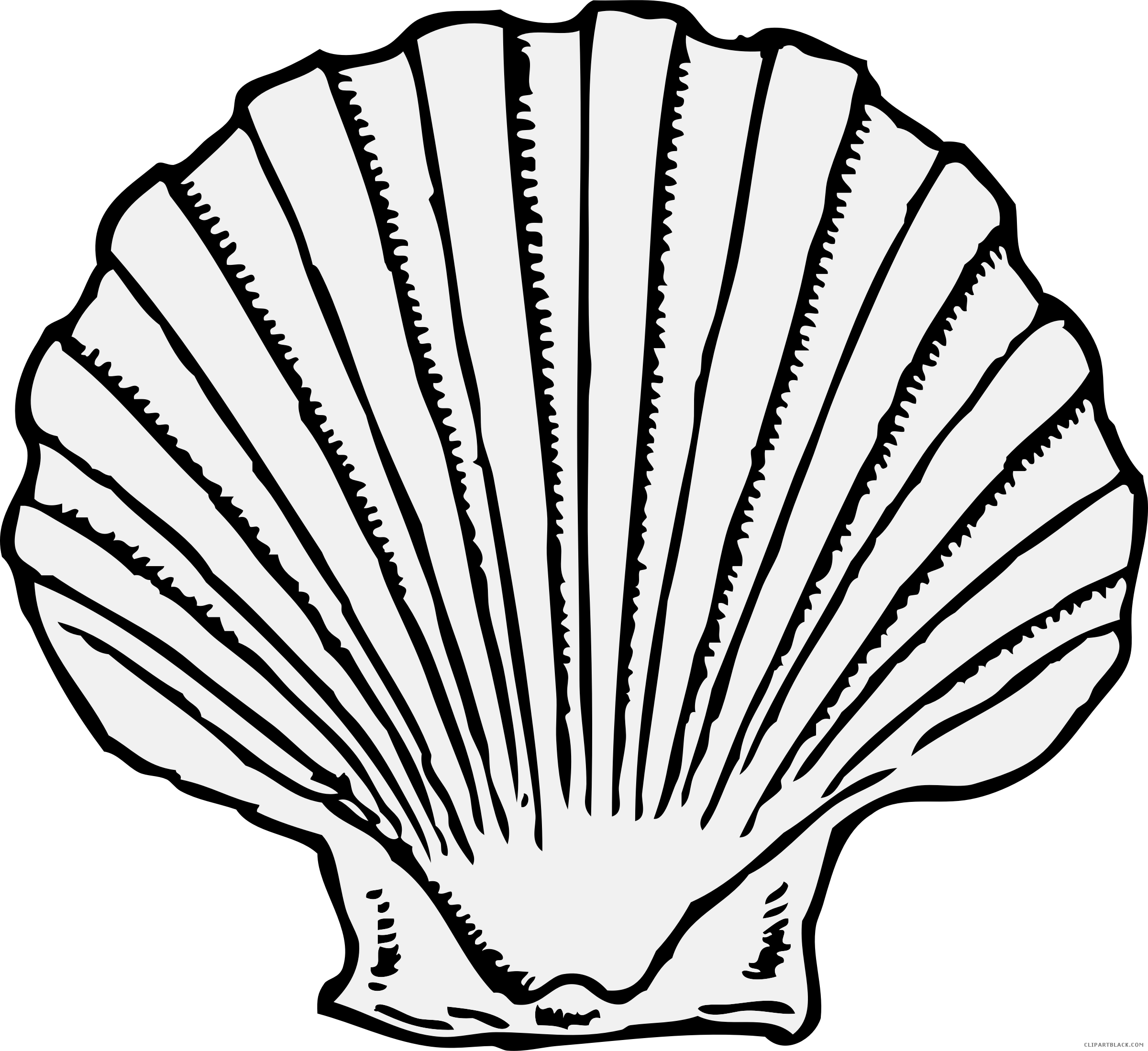 Scallop Shell Animal Free Black White Clipart Images - Sea Shell Clip Art (2400x2198)