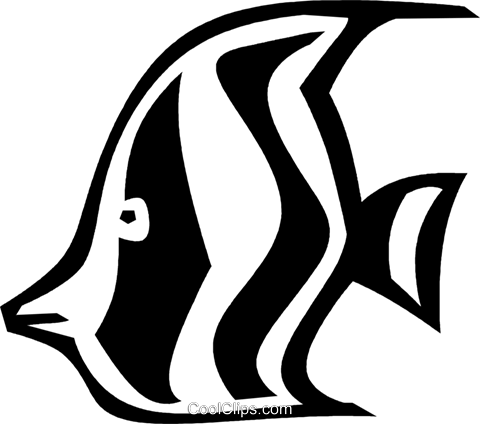 Angelfish Clipart Black And White - Angel Fish Vector (480x424)