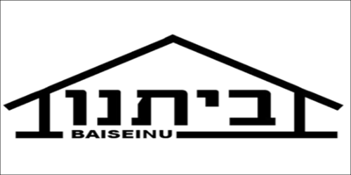 Baiseinu Logo - Summer Camp (500x250)