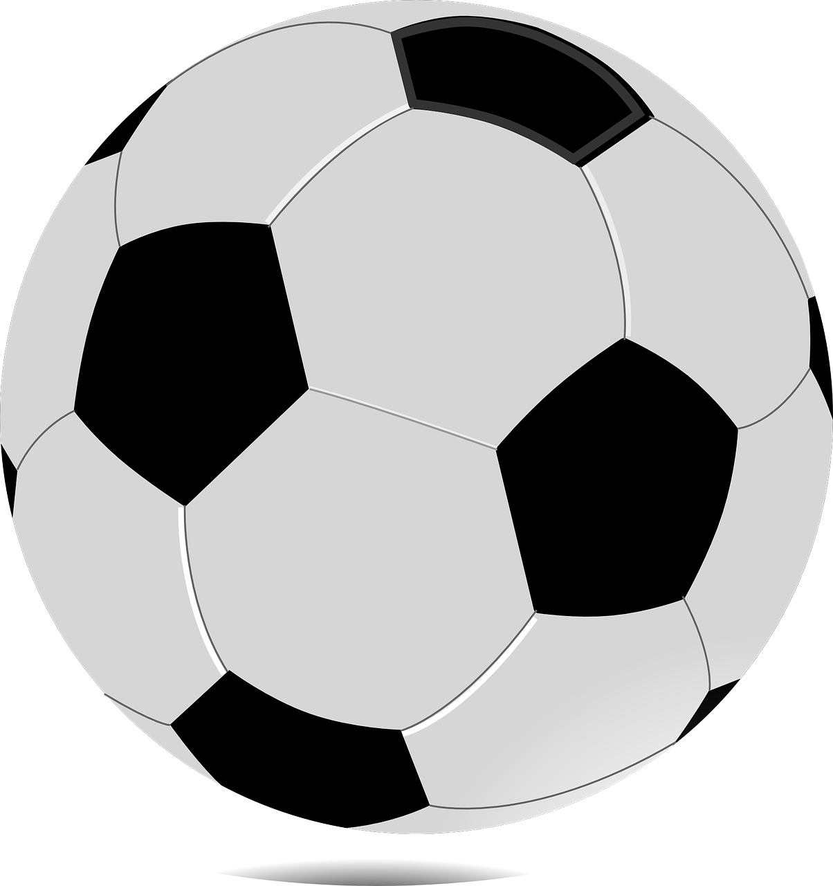 Wildcat And Ladycat Soccer Camp - Bola De Futebol Transparente (1204x1280)