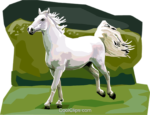 Lipicanec Lipizzan Horse Royalty Free Vector Clip Art - Foal (480x369)