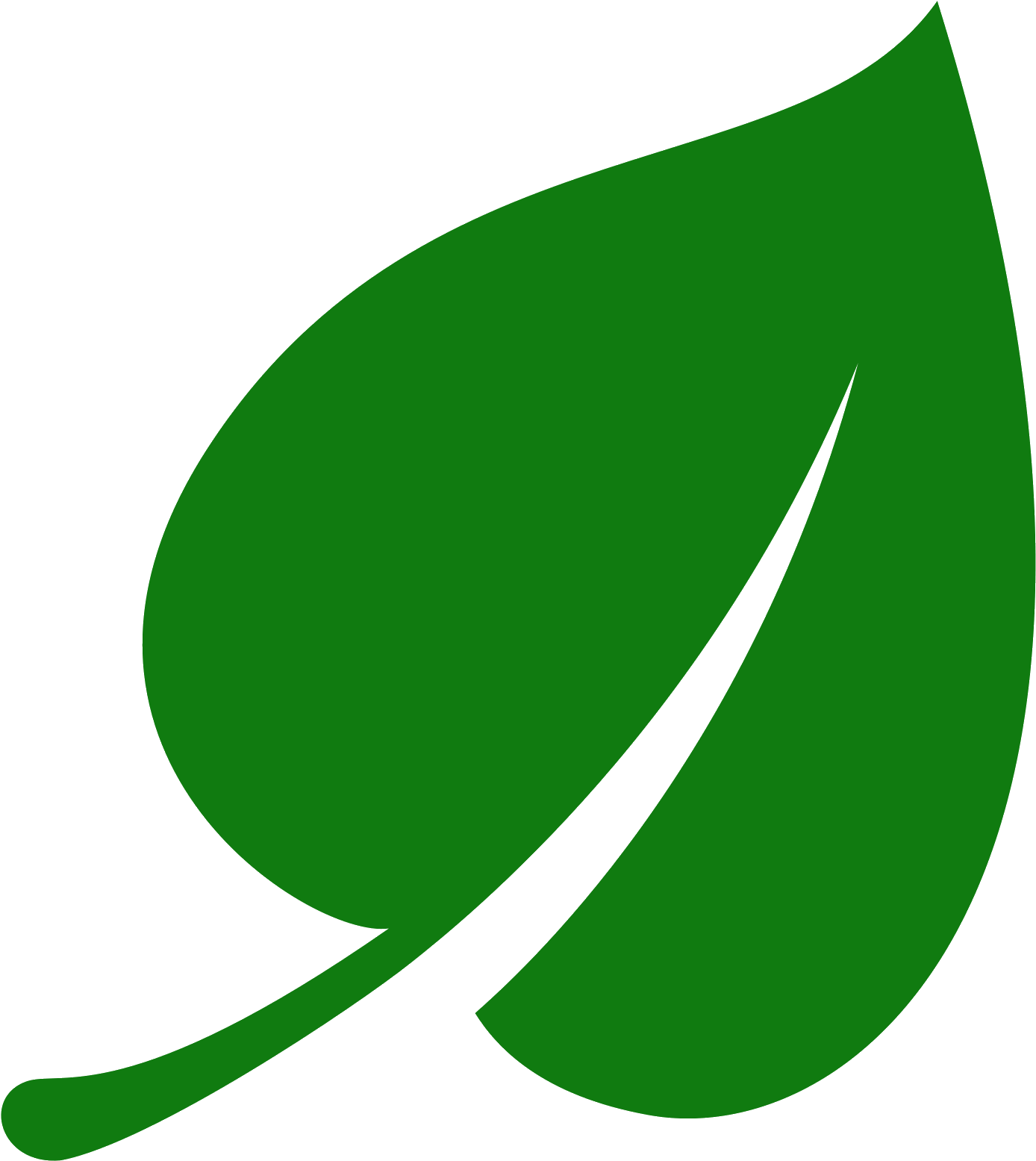 Green Leaf Icon Png (1600x1600)