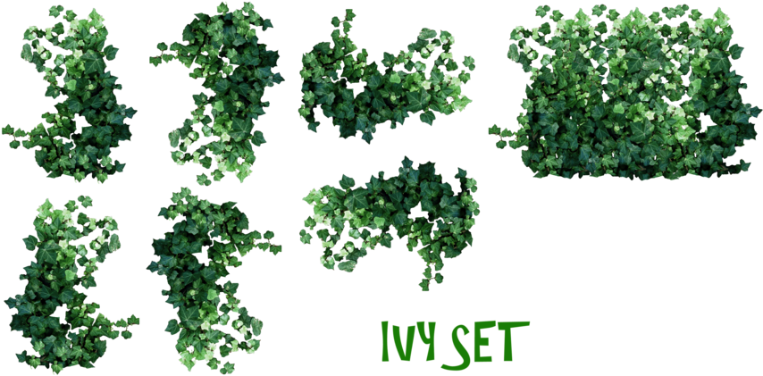 Real Ivy Plants Png By Mysticmorning On Deviantart - Hanging Plants Plan View (900x446)