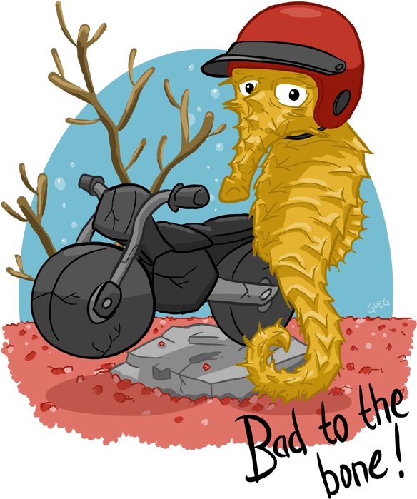 Seahorse Motorcycle By Werehare - Cartoon (600x715)