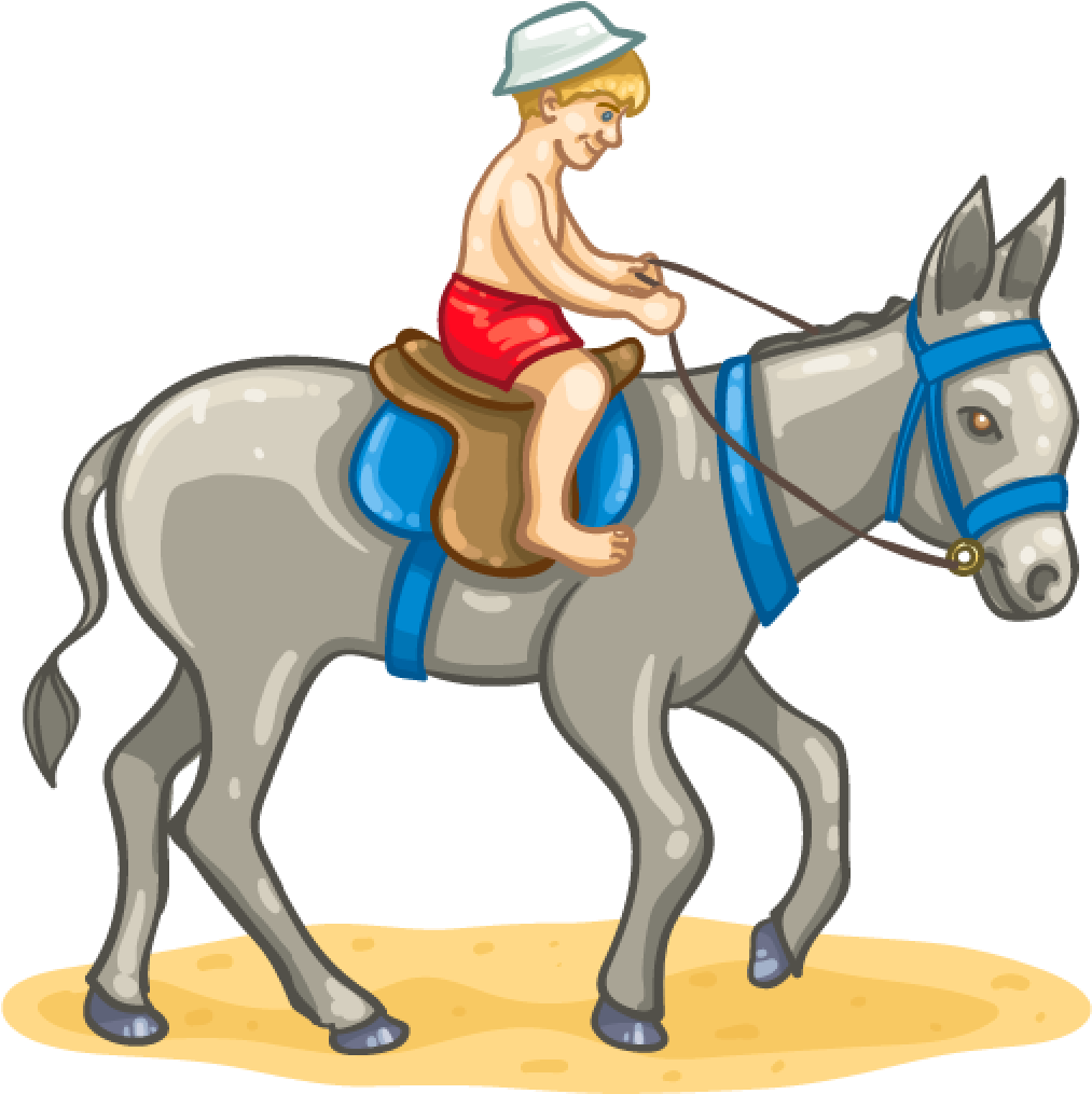 Life's A Beach - Ride A Donkey Cartoon (1024x1024)