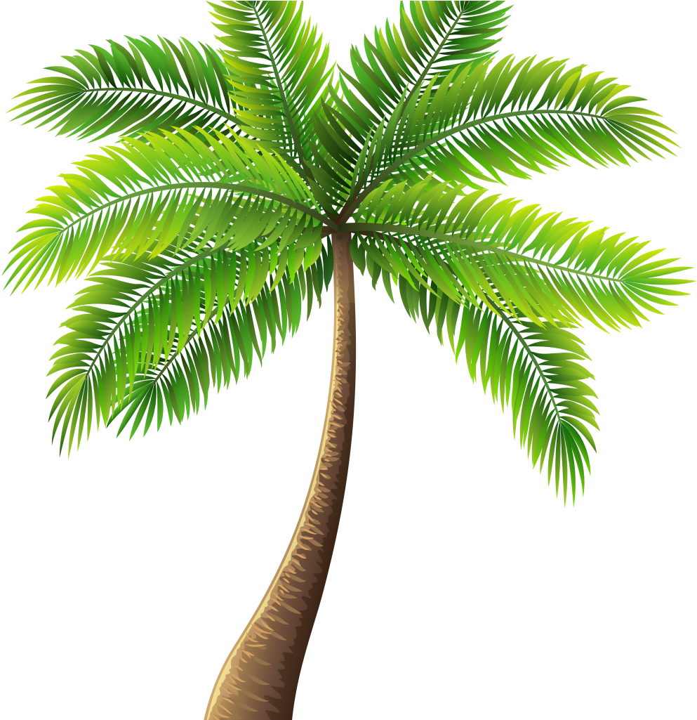 Palm Tree Painting Elegant Palm Tree Art Tropical Palm - Palm Tree Clipart Png (1024x1024)