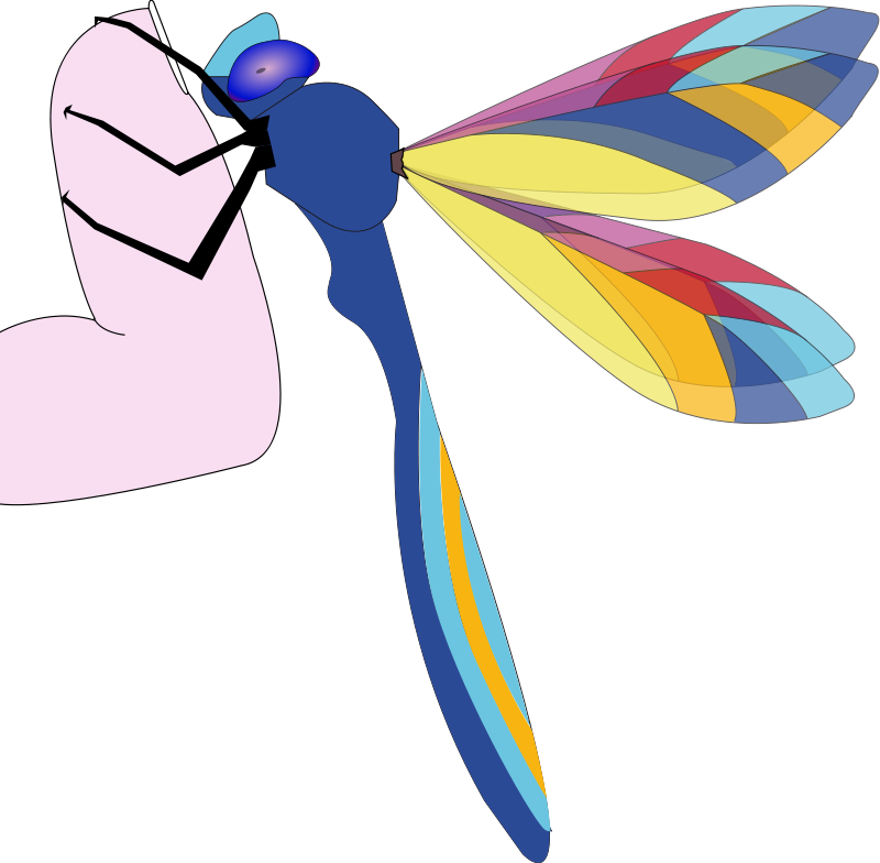 Similar Clip Art - Custom Colorful Dragonfly Mugs (2399x2354)