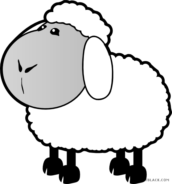 Sheep Animal Free Black White Clipart Images Clipartblack - Cartoon Sheep Clipart (558x597)