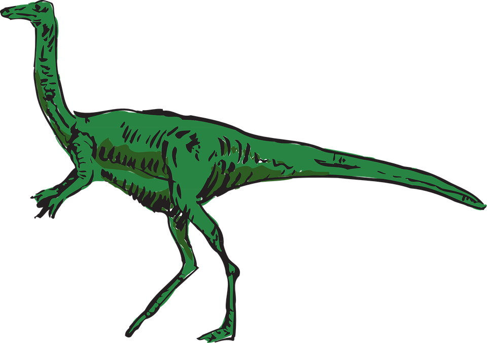 Dinosaurs Clipart Extinct Animal - Small Long Neck Dinosaur (960x676)