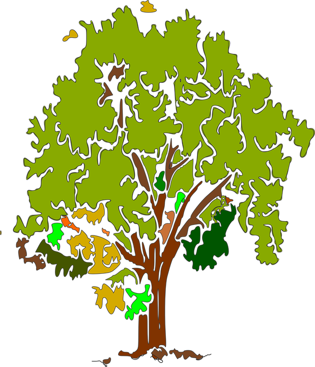 Tree Green Nature Grass Plant Season Park Garden - Tree Green Nature Grass Plant Season Park Garden (619x720)