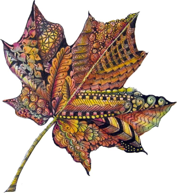 Have Been Looking For A Maple Leaf That Isn't Cheesy - Maple Leaf Doodle Art (735x800)