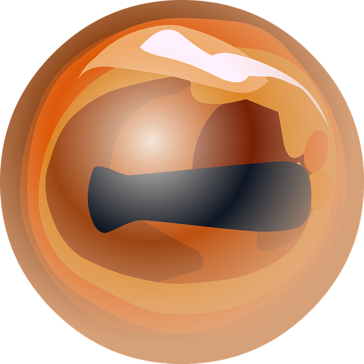 Student Eyes Cliparts 17, Buy Clip Art - Ojos Reptil Png (720x720)