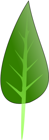 Similar Clip Art - Illustration (566x800)