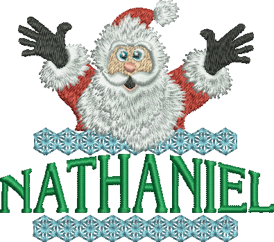 Surprise Santa Name - Name Peter (395x349)