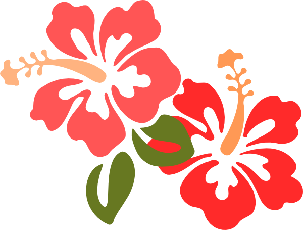 Free Hibiscus Clip Art - Hibiscus Clipart (600x455)