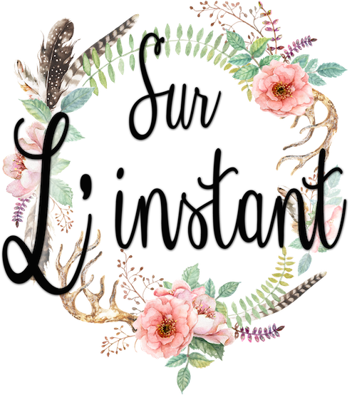 Photographe Mariage Annecy - Illustration Mariage Boheme Chic (500x553)