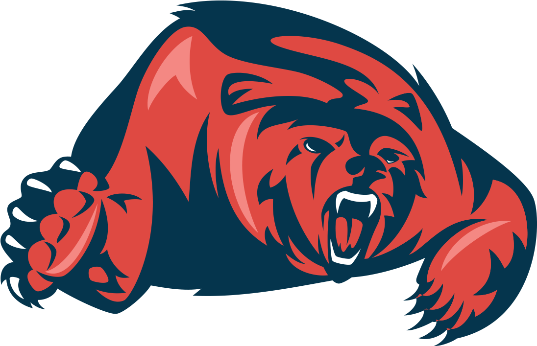 Bears Wire - Chicago Bears (1200x1200)