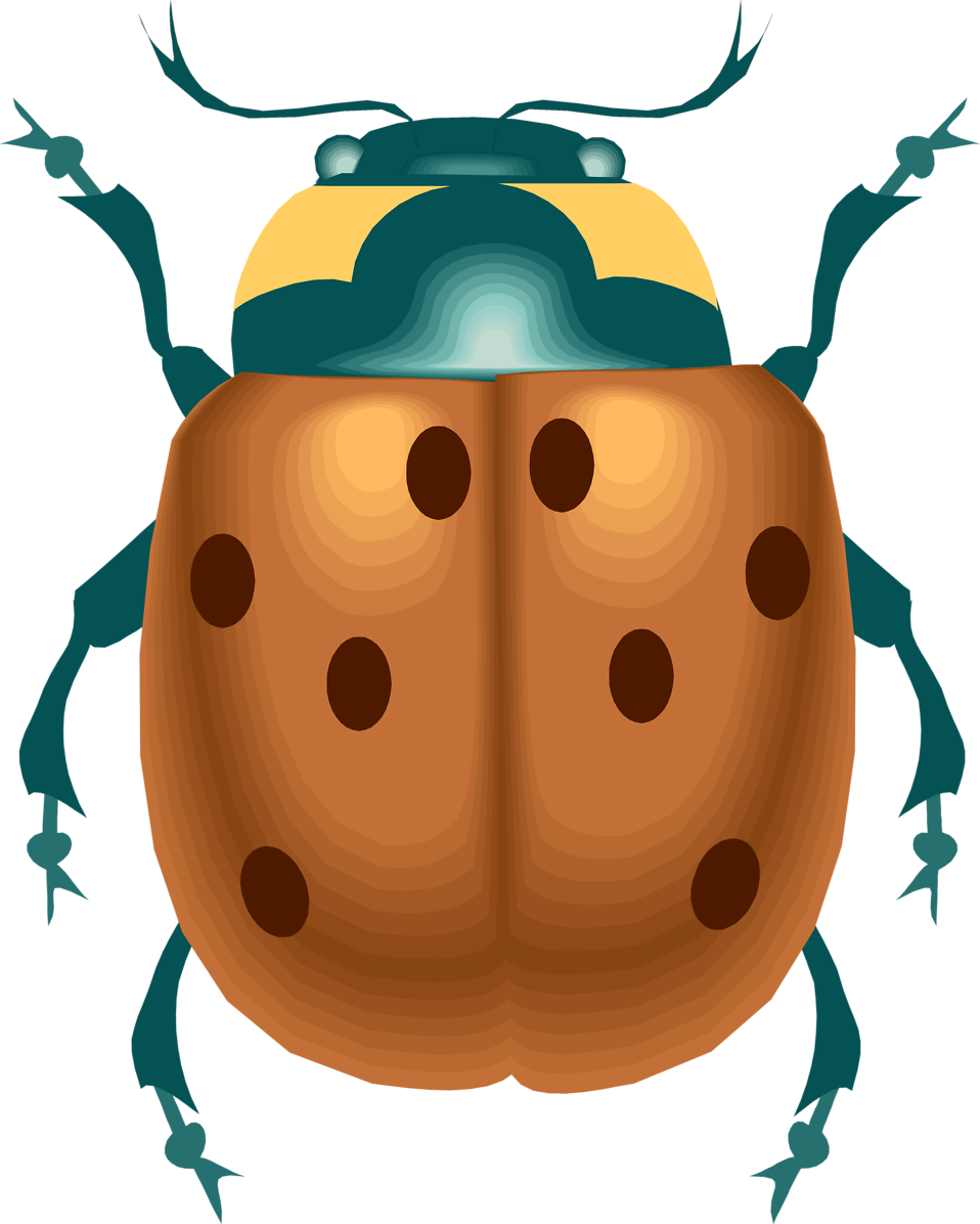 Illustration Of A Ladybug - Clip Art (958x1196)