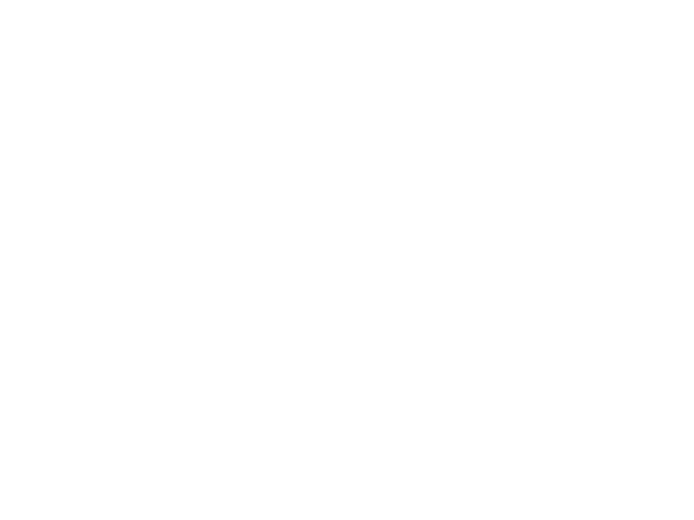 White Dove Clipart Baby - Dove Clip Art White (640x480)