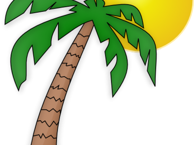 Sunshine Clipart Palm Tree - Palm Tree Cartoon (640x480)