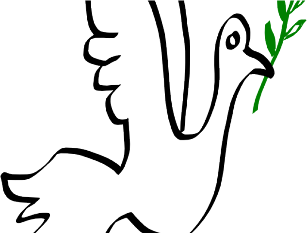 Peace Dove Clipart Palomas - Line Art (640x480)