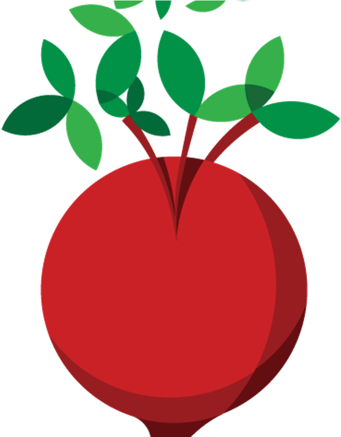 Stem Clipart Flower Root - Clip Art (1552x873)