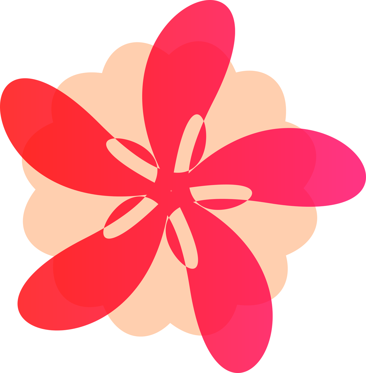Flower Red Beautiful Petals Png Image - Flower Red Beautiful Petals Png Image (1256x1280)