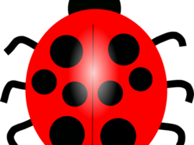 Lady Bug Clipart - Cartoon Lady Bugs Clipart (640x480)