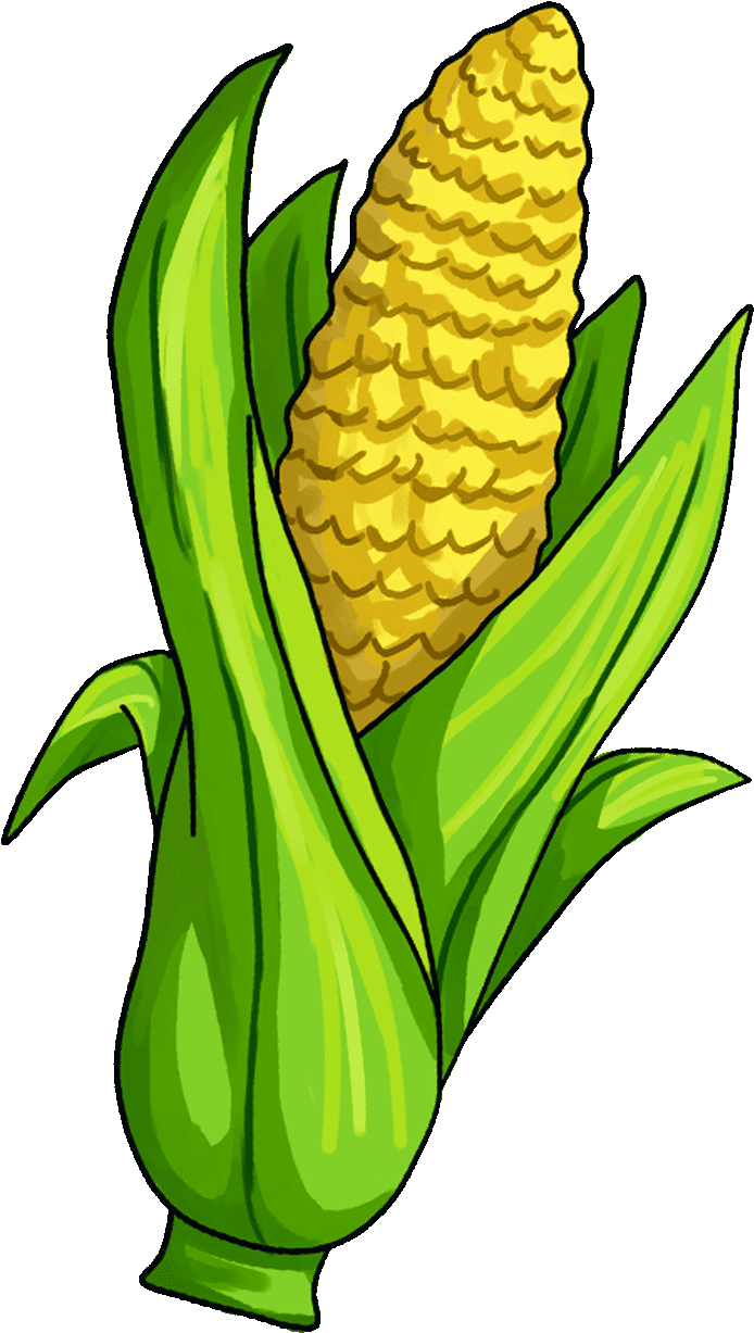 Corn On The Cob Candy Corn Maize Vegetable Clip Art - Animated Image Of Corn (720x1280)