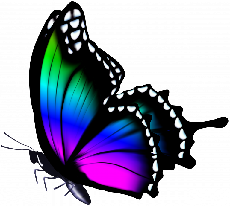 Colorful Butterfly Images Fresh Png Clip Art Image - Butterfly Clip Art (768x689)