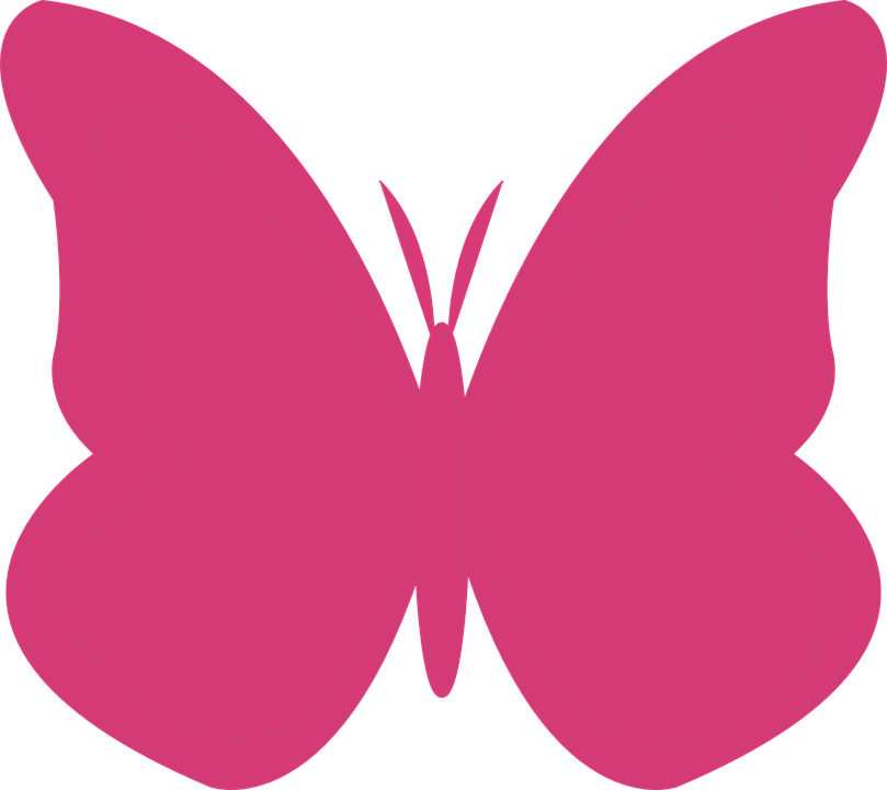 Pink And Purple Butterfly Clipart - Silueta De Alas De Mariposa (809x720)